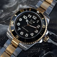 Thumbnail for VO133SS - VOYAGER SILVER / GOLD SUB